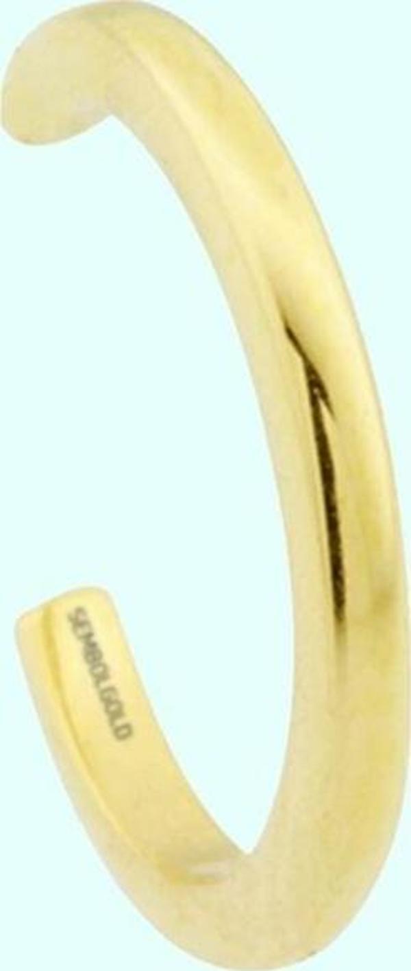 Altın Kıkırdak Küpe 14 Ayar Earcuff Sade - Image 1