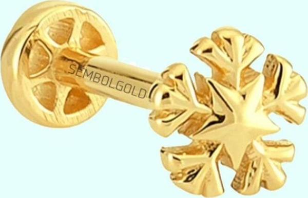 Altın KartanesiTragus Piercing 14 Ayar - Image 1