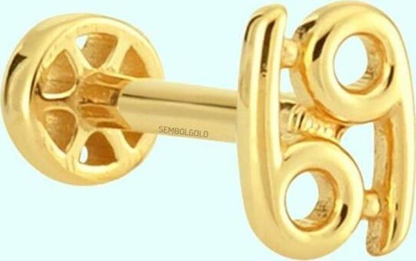 Altın Tragus Piercing 14 Ayar Yengeç Burcu - Image 1