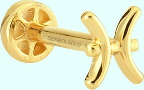 Altın Tragus Piercing 14 Ayar Balık Burcu - Image 1