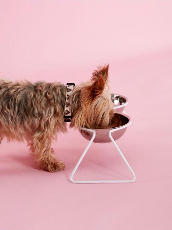 DOG.İST Air Çelik Köpek Mama Ve Su Kabı M-L - Image 1
