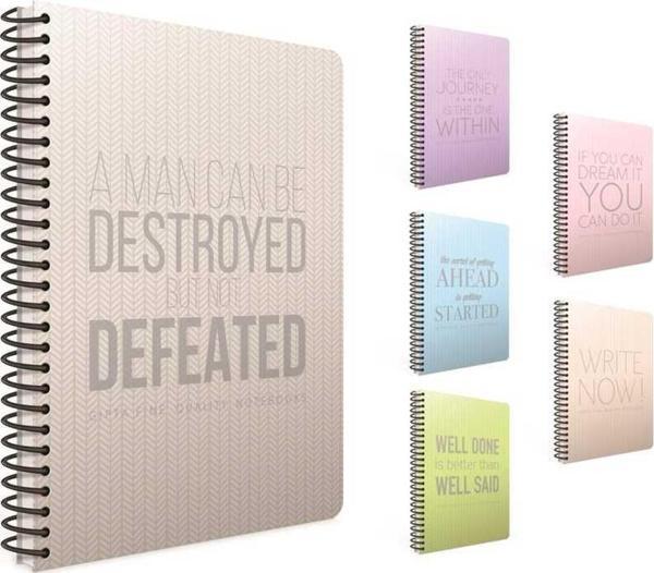 Gıpta Now Spiralli Plastik Kapak Defter 17 x 24 100 Yaprak Kareli - Image 1