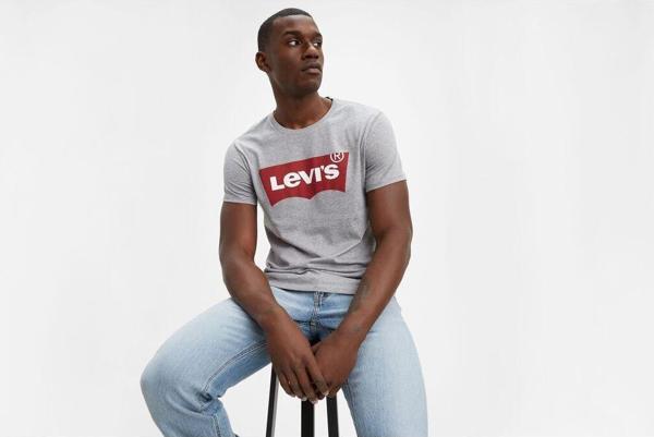 Levi'S Graphic Set-In Neck Gri Erkek Tişört - Image 1