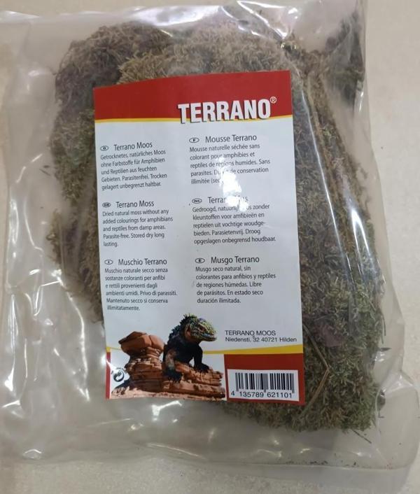 Netx Dekoratif Doğal Orman Yosunu  - Image 1