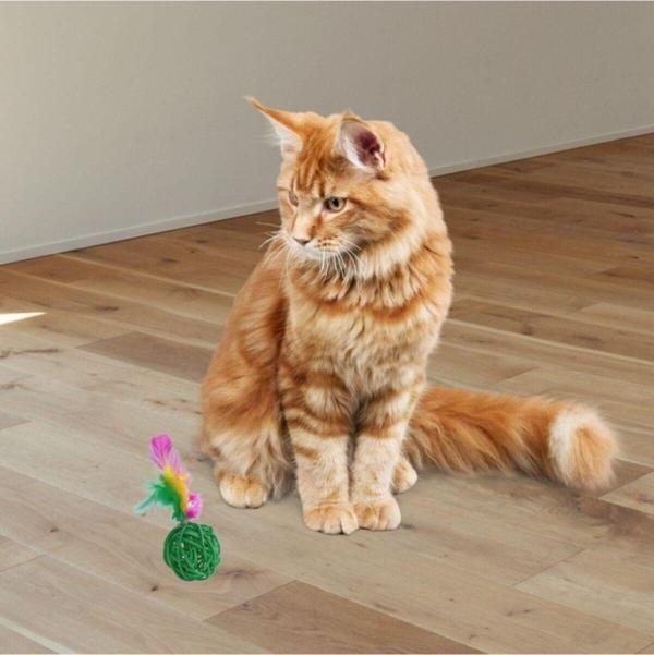 EveFix ® 2Li Rattan Renkli Peluş Tüy Kedi Köpek Oyuncak Yakalama Çiğneme Çıngıraklı Top Oyuncağı - Image 1