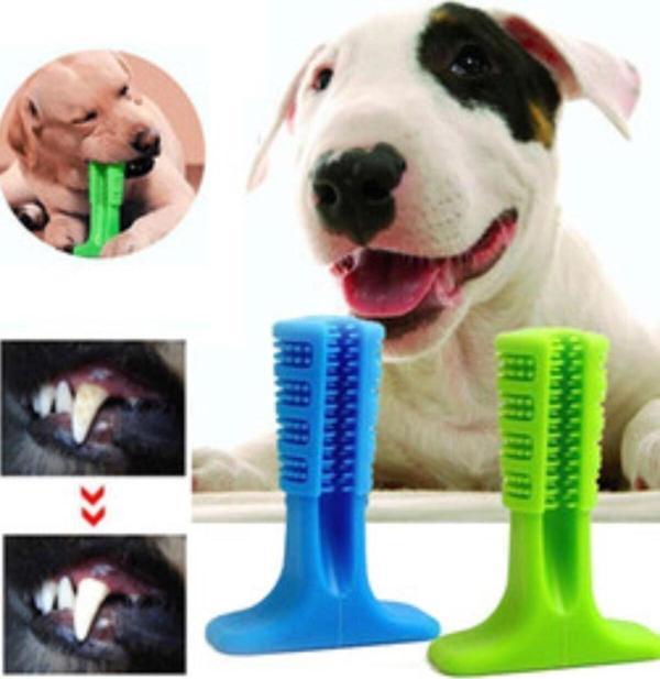 EveFix Köpek Diş Temizleyici Ve Kaşıyıcı Sağlıklı Küçük Boy Oyuncak - Image 1