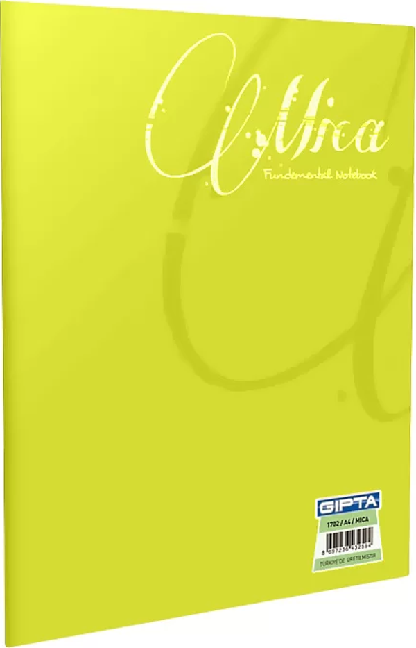 Gıpta Mica Plastik Kapak Defter A5 Çizgili 40 Yaprak (1709) - Image 1