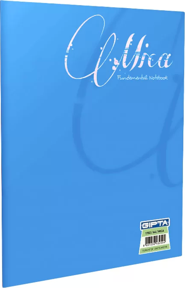 Gıpta Mica Plastik Kapak Defter A5 Kareli 80 Yaprak (2055) - Image 1
