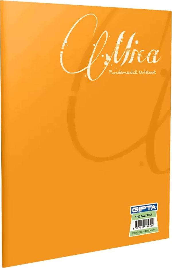 Gıpta Mica Plastik Kapak Defter A5 Kareli 40 Yaprak (1710) - Image 1