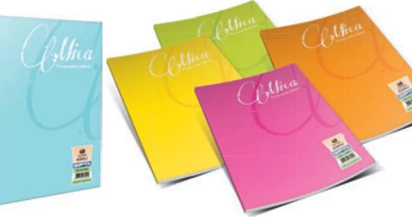 Gıpta Mica Plastik Kapak Defter A4 Çizgili 100 Yaprak (2488) - Image 1