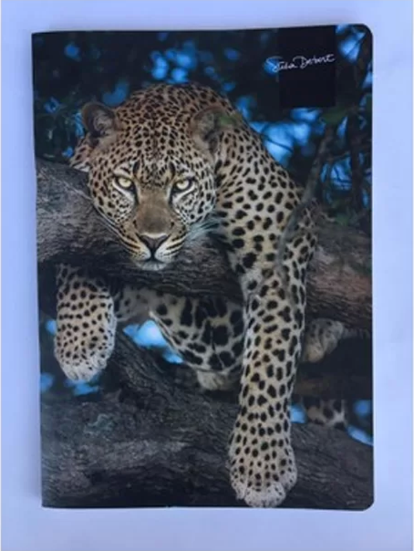 Keskin Uni-Note Karton Kapak Defter 18X26 Kareli 58 Yaprak (381712) - Image 1