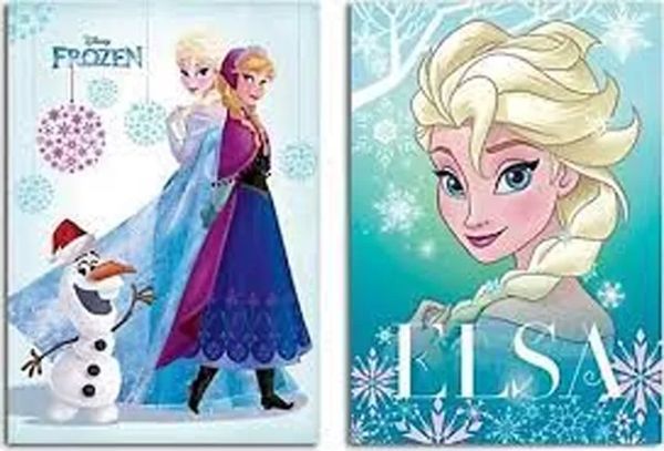 Keskin Frozen Plastik Kapak Defter A4 Kareli 40 Yaprak (322502) - Image 1