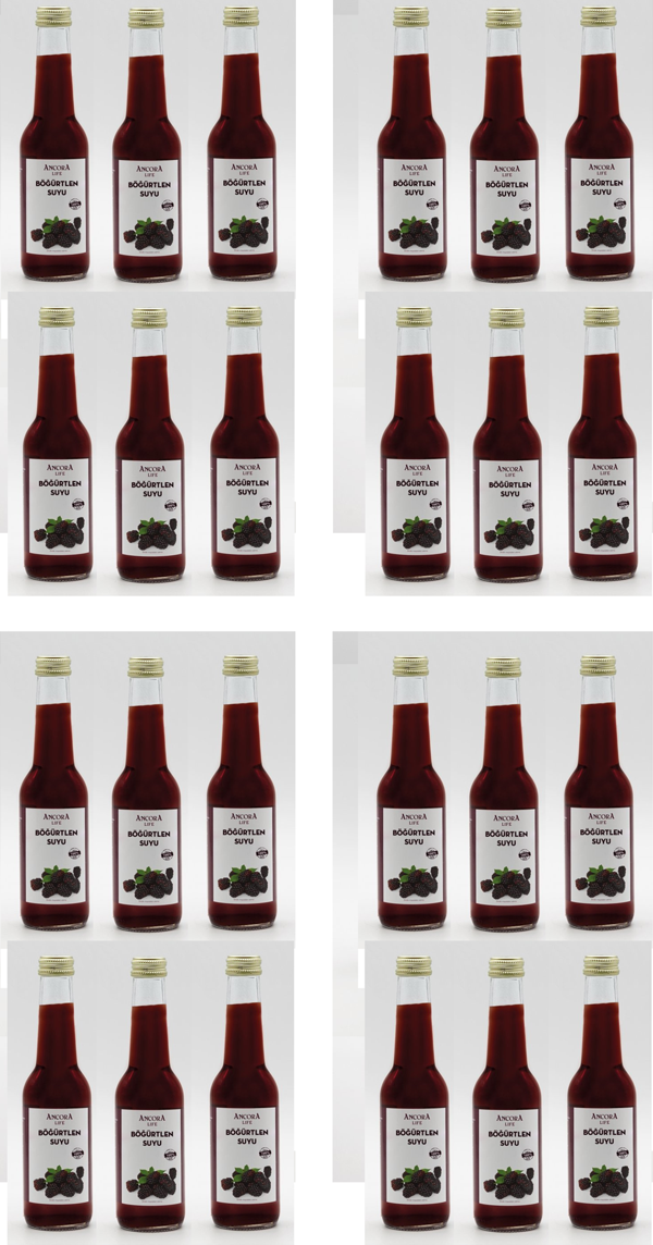 Ancora Sıkma Böğürtlen Suyu 250 Ml X 24 Adet - Image 1