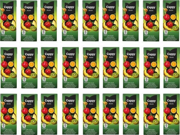 Cappy Atom Ballı Karışık Meyve Nektarı 200 Ml X 27 Adet - Image 1