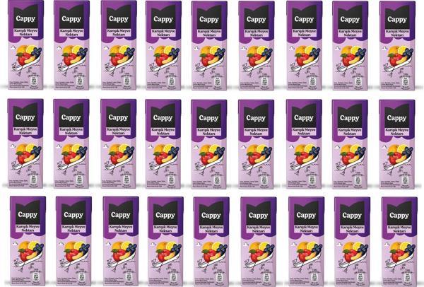 Cappy Bahçe Karışık Meyve Nektarı 200 Ml X 27 Adet - Image 1