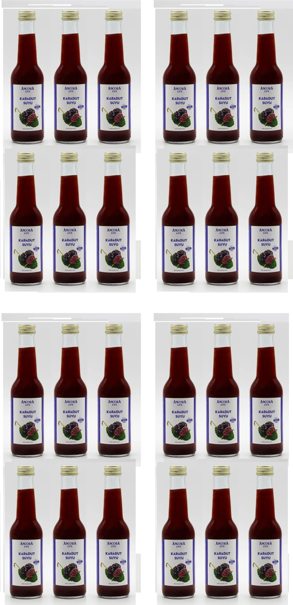 Ancora Sıkma Karadut Suyu 250 Ml X 24 Adet - Image 1