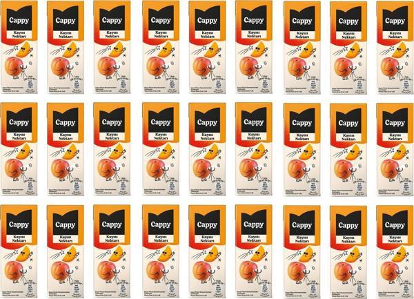 Cappy Bahçe Kayısı Nektarı 200 Ml X 27 Adet - Image 1