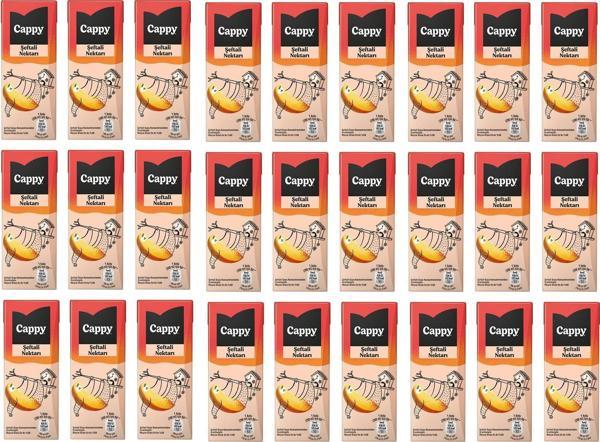 Cappy Bahçe Şeftali Nektarı 200 Ml X 27 Adet - Image 1