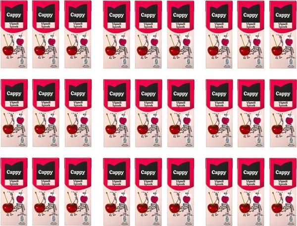 Cappy Bahçe Vişneli İçecek 200 Ml X 27 Adet - Image 1