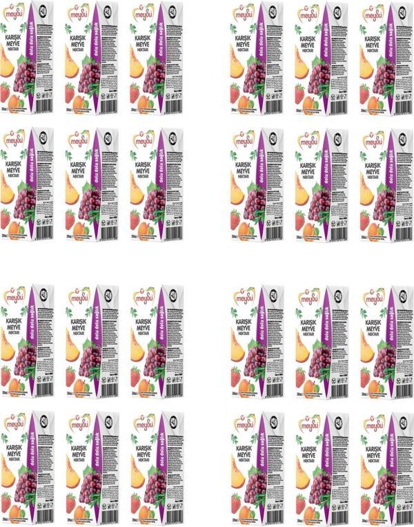 Meysu Karışık Meyve Nektarı 200 Ml X 24 Adet - Image 1