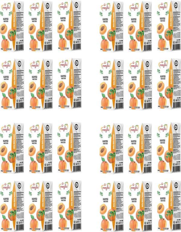 Meysu Kayısı Nektarı 200 Ml X 24 Adet - Image 1