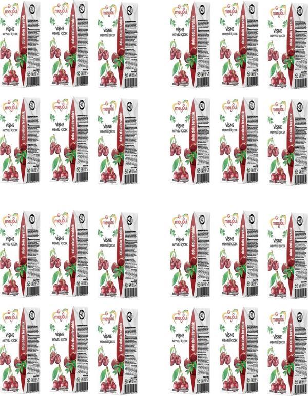 Meysu Vişne Meyveli İçecek 200 Ml X 24 Adet - Image 1