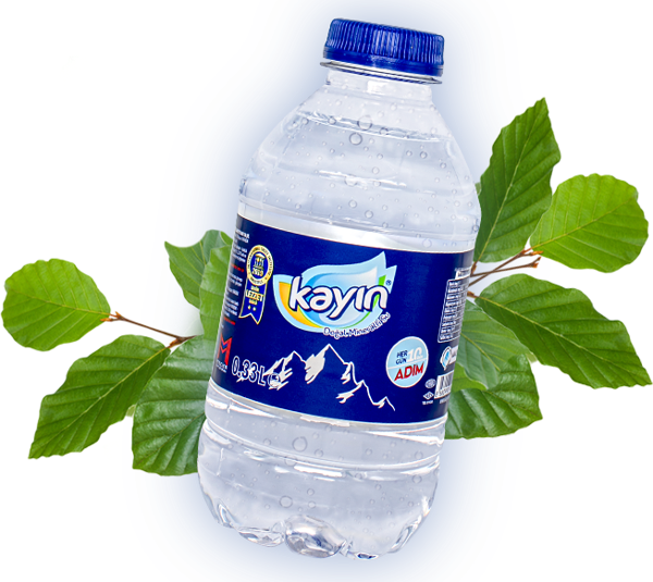 Kayın Doğal Kaynak Suyu 330 Ml X 12 Adet - Image 1