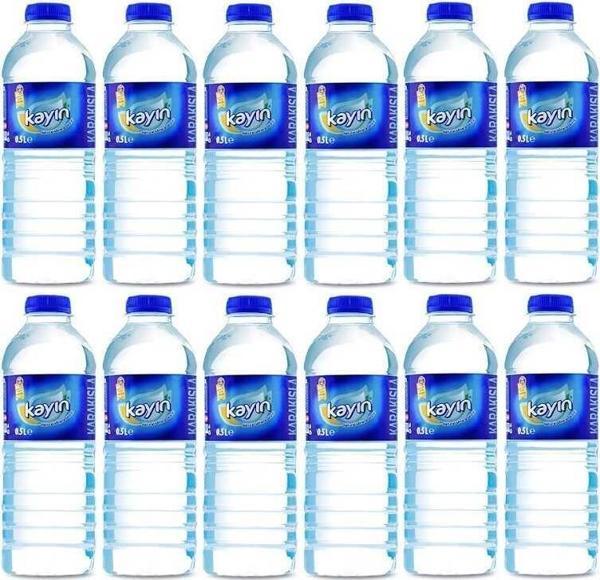 Kayın Doğal Kaynak Suyu 500 Ml X 12 Adet - Image 1