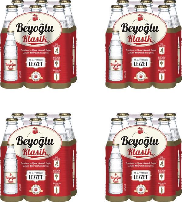 Beyoğlu Gazozu Klasik Karışık Meyve Aromalı 250 Ml X 24 Adet - Image 1