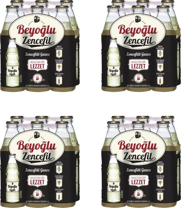 Beyoğlu Gazozu Zencefilli 250 Ml X 24 Adet - Image 1