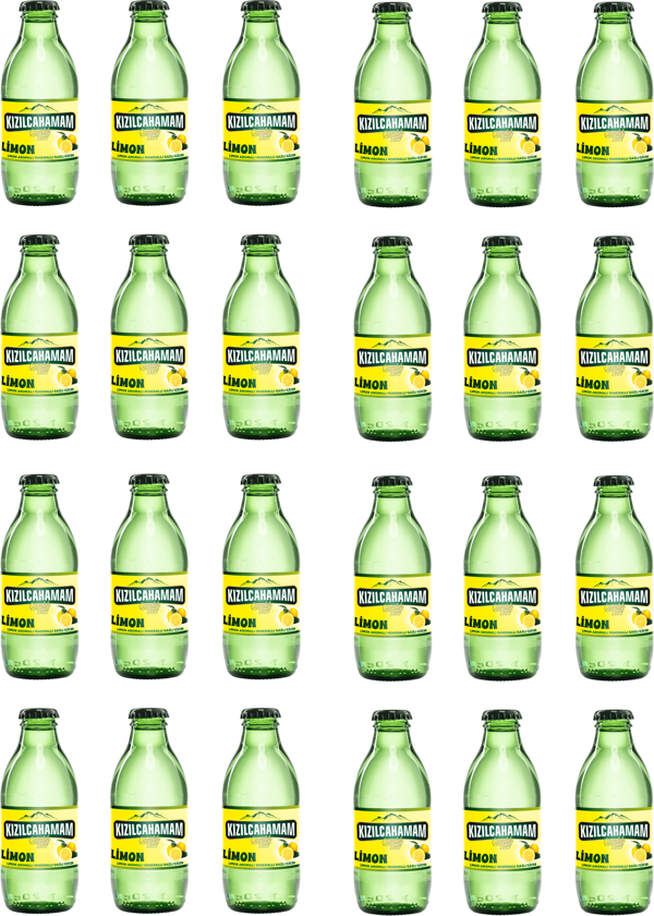Kızılcahamam Çamlık Nane Limon Aromalı Maden Suyu 200 Ml X 24 Adet - Image 1