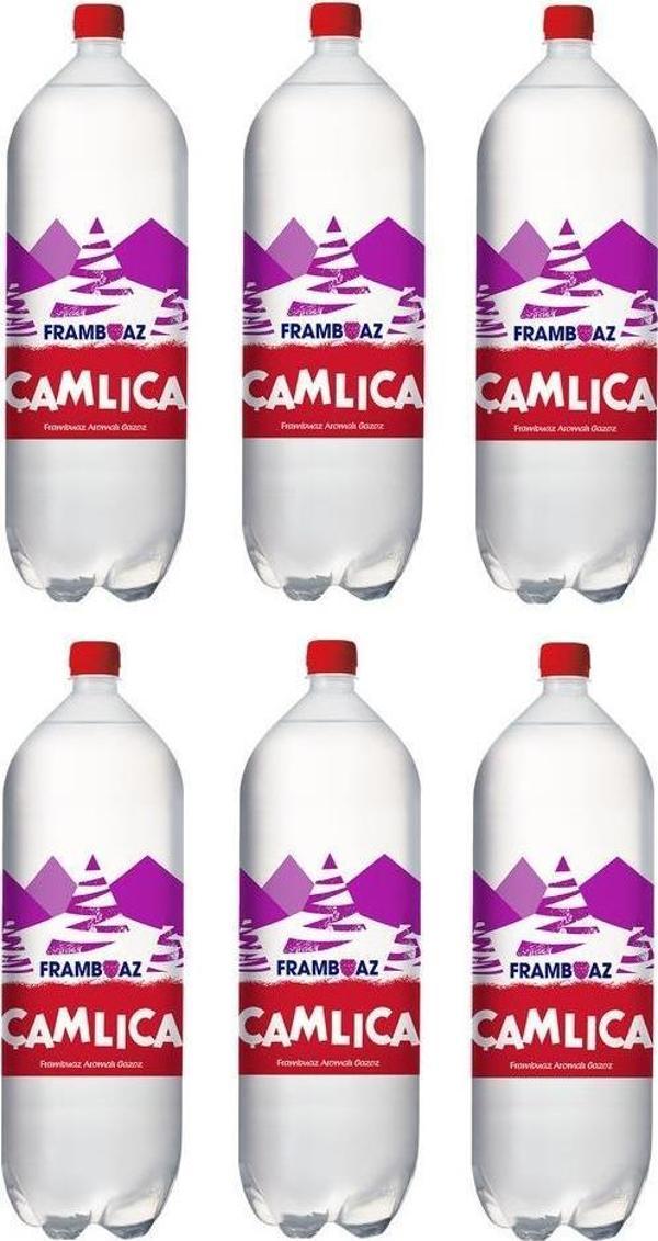 Çamlıca Frambuaz Aromalı Gazoz 2,5 Lt X 6 Adet - Image 1