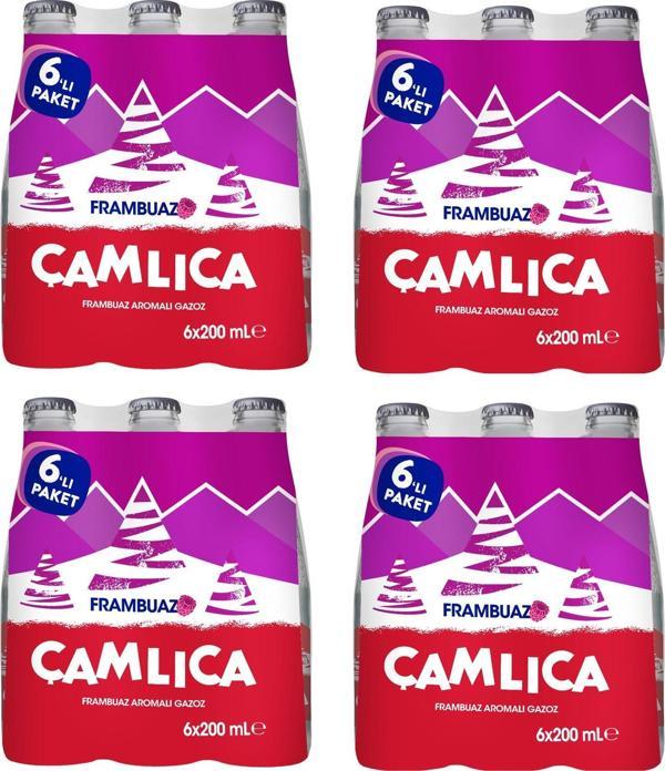 Çamlıca Frambuaz Aromalı Gazoz 200 Ml X 24 Adet - Image 1
