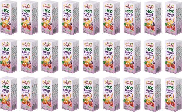 Meysu %100 Karışık Meyve Suyu 200 Ml X 27 Adet - Image 1