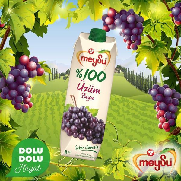 Meysu %100 Üzüm Suyu 1 Lt - Image 1