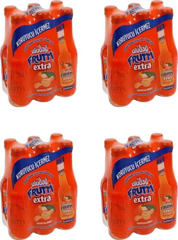 Uludağ Frutti Extra Mandalinalı 250 Ml X 24 Adet - Image 1