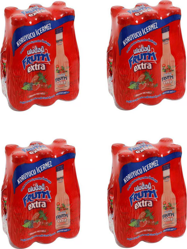Uludağ Frutti Extra Orman Meyveli 250 Ml X 24 Adet - Image 1
