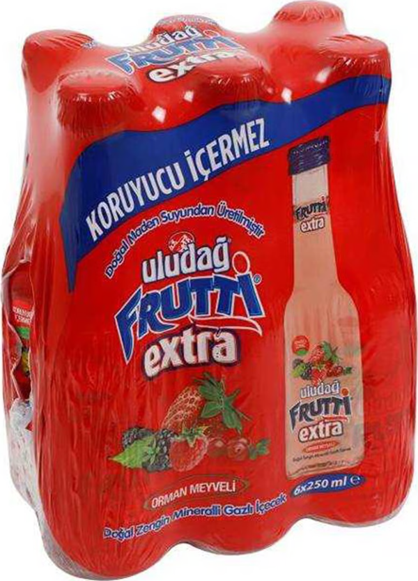 Uludağ Frutti Extra Orman Meyveli 250 Ml X 6 Adet - Image 1