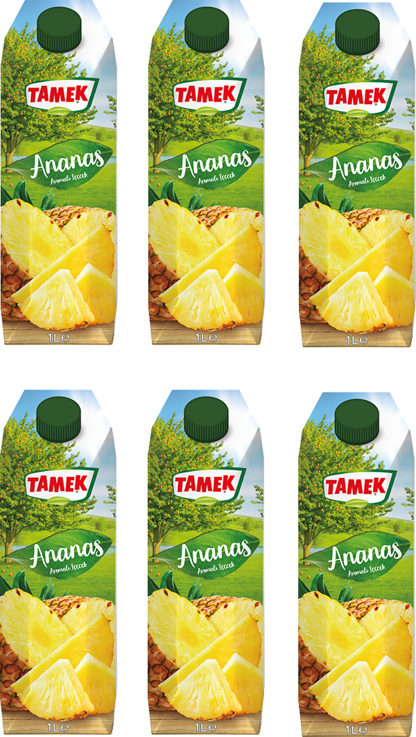 Tamek Ananas Nektarı 1 Lt X 6 Adet - Image 1