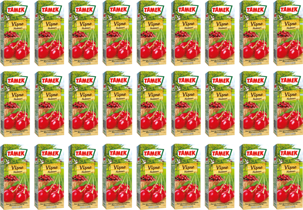 Tamek Vişne Nektarı 200 Ml X 27 Adet - Image 1