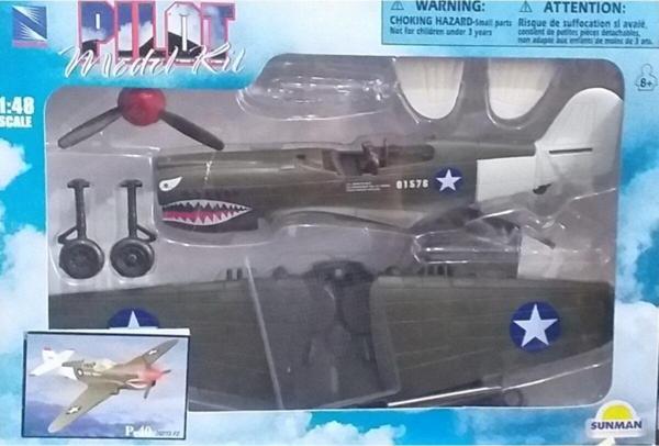 Sunman Newray 1/48 Ölçek P-40 Wwıı Uçak Modeli - Image 1