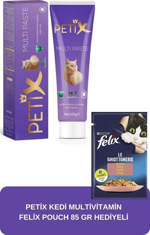 Petix Multivitamin Paste 100 Gr ( Felix Pouch Hediyeli ) - Image 1