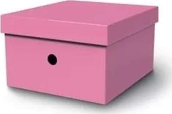 MAS 8224 RAİNBOW KARTON KÜÇÜK BOY ARŞİV KUTUSU PEMBE - Image 1