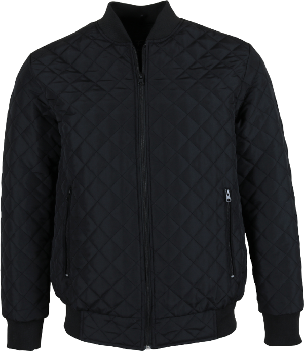 Erkek Normal Kesim Kışlık Siyah Kapitone Mont RAR01272 - Image 1