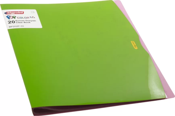 Bigpoint Pop Serisi Sunum Dosyası 20'li Yeşil-Pembe - Image 1