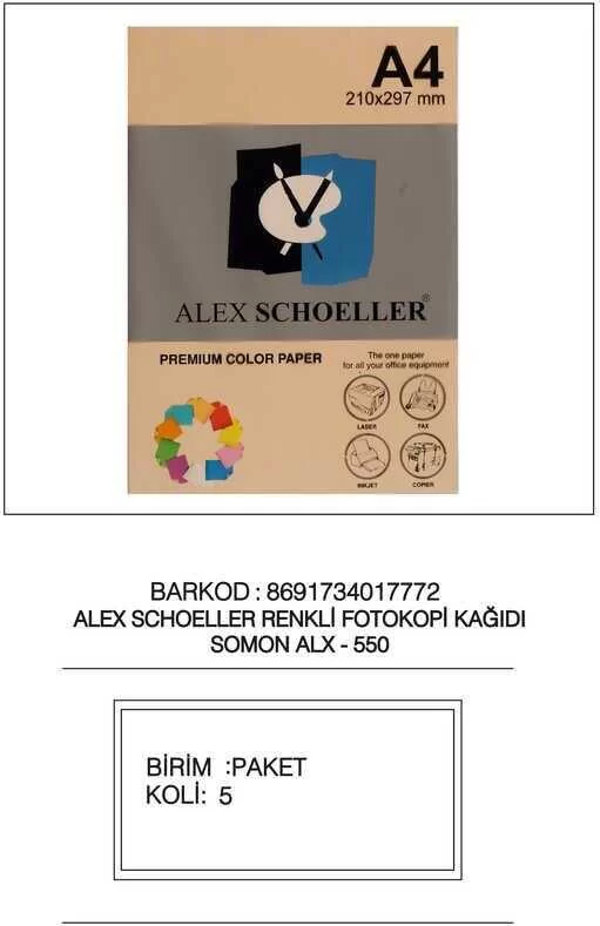 Alex Schoeller Fotokopi Kağıdı Renkli A4 500'lü 550 Somon - Image 1