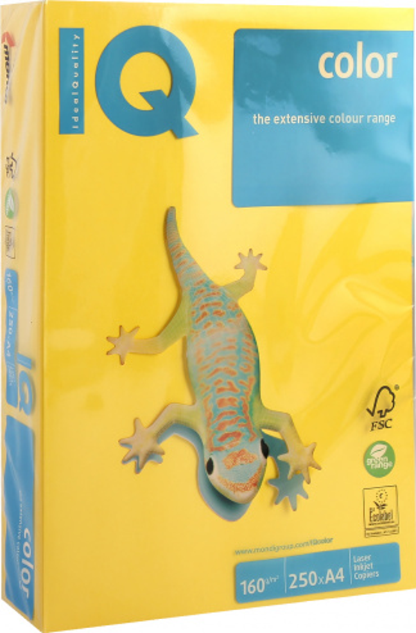 MONDİ İQ RENKLİ FOTOKOPİ KAĞIDI A4 160gr HARDAL SARISI 250Lİ (NE1600-IG50) - Image 1