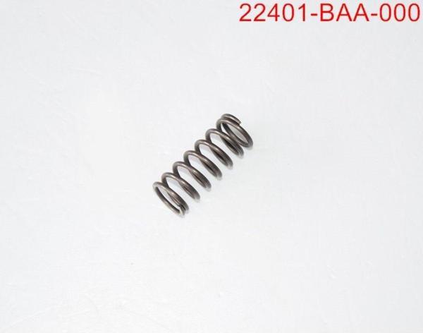 Sym Clutch Spring Wolf250 - Image 1