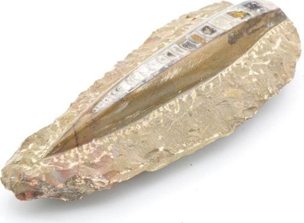 Hakiki Doğal Belemnit Fosili Kaya Parçası 648 Gram - Image 1