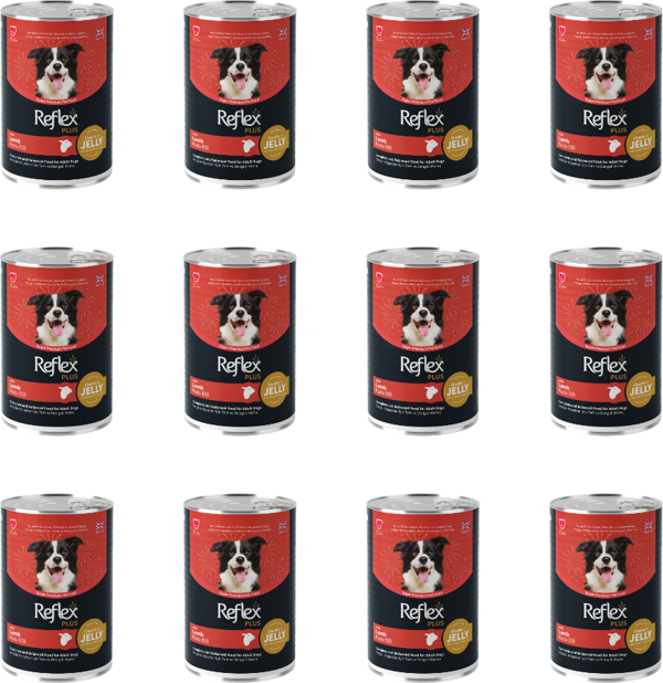Reflex Plus Jöle İçinde Et Parçacıklı Kuzu Etli Yetişkin Köpek Konservesi 400 Gr (12 Adet) - Image 1